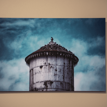 "Woodside Tower Pigeons" 16"x24"